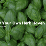 Grow Your Own Herb Haven: A Beginner’s Guide